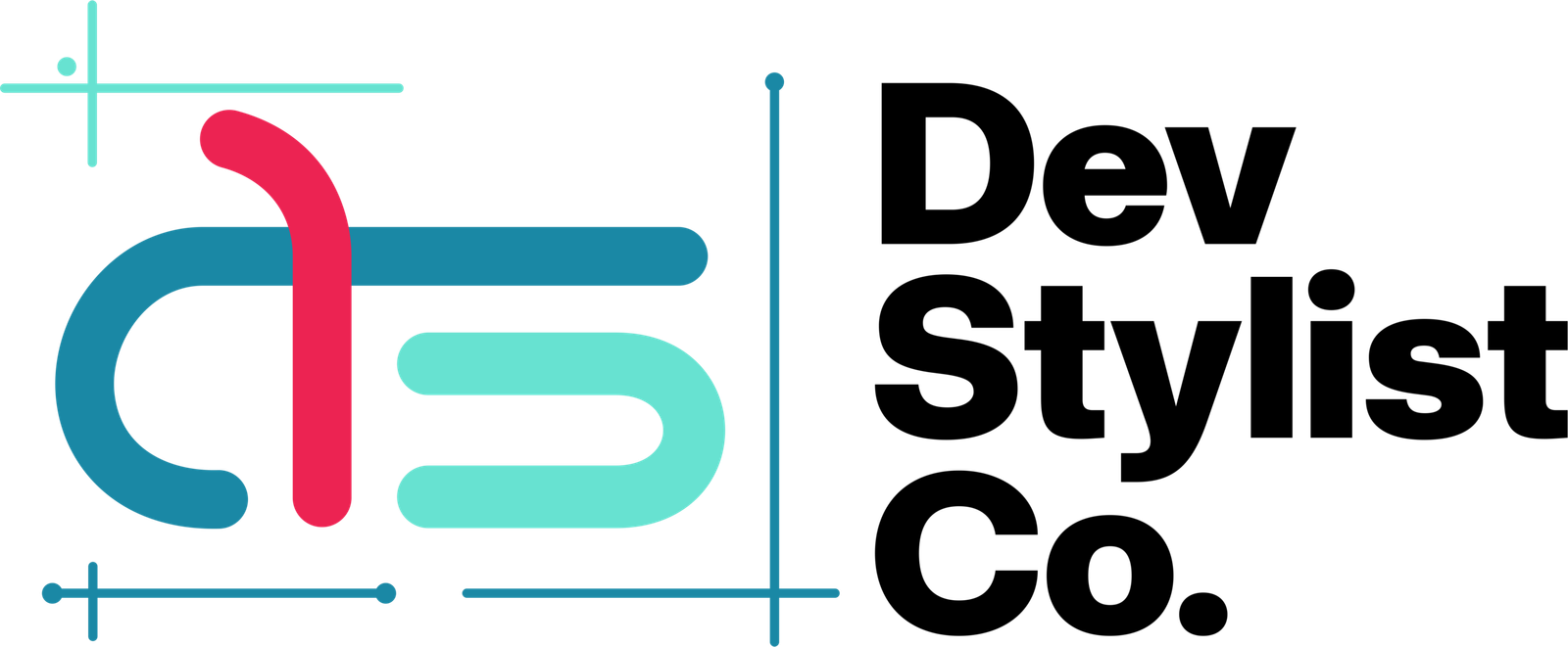 Dev Stylist Co. Footer