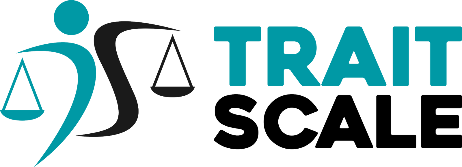 Trait Scale Logo | Dev Stylist Co. 
